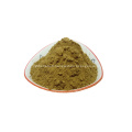 extrait de salvadora persica extrait de Miswak en poudre